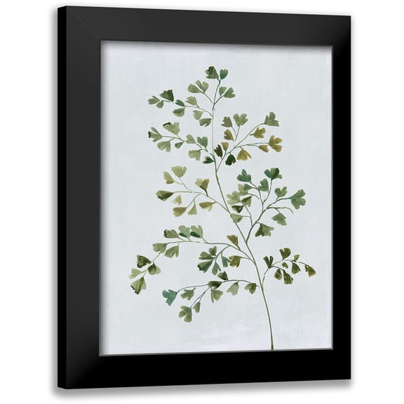 Jensen, Asia 12x14 Black Modern Framed Museum Art Print Titled - Green Fern II