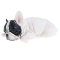 thumbnail image 1 of Simulación Durmiendo Pequeño Francés Perro Animales de Acción Perro Mascota / Modelos de Animales Aprendizaje E Sunnimix  Juguete Figura Animal, 1 of 8