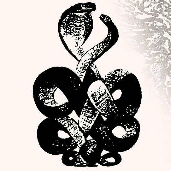 Bardo Pond - Volume 4 & 5 - Music & Performance - Vinyl