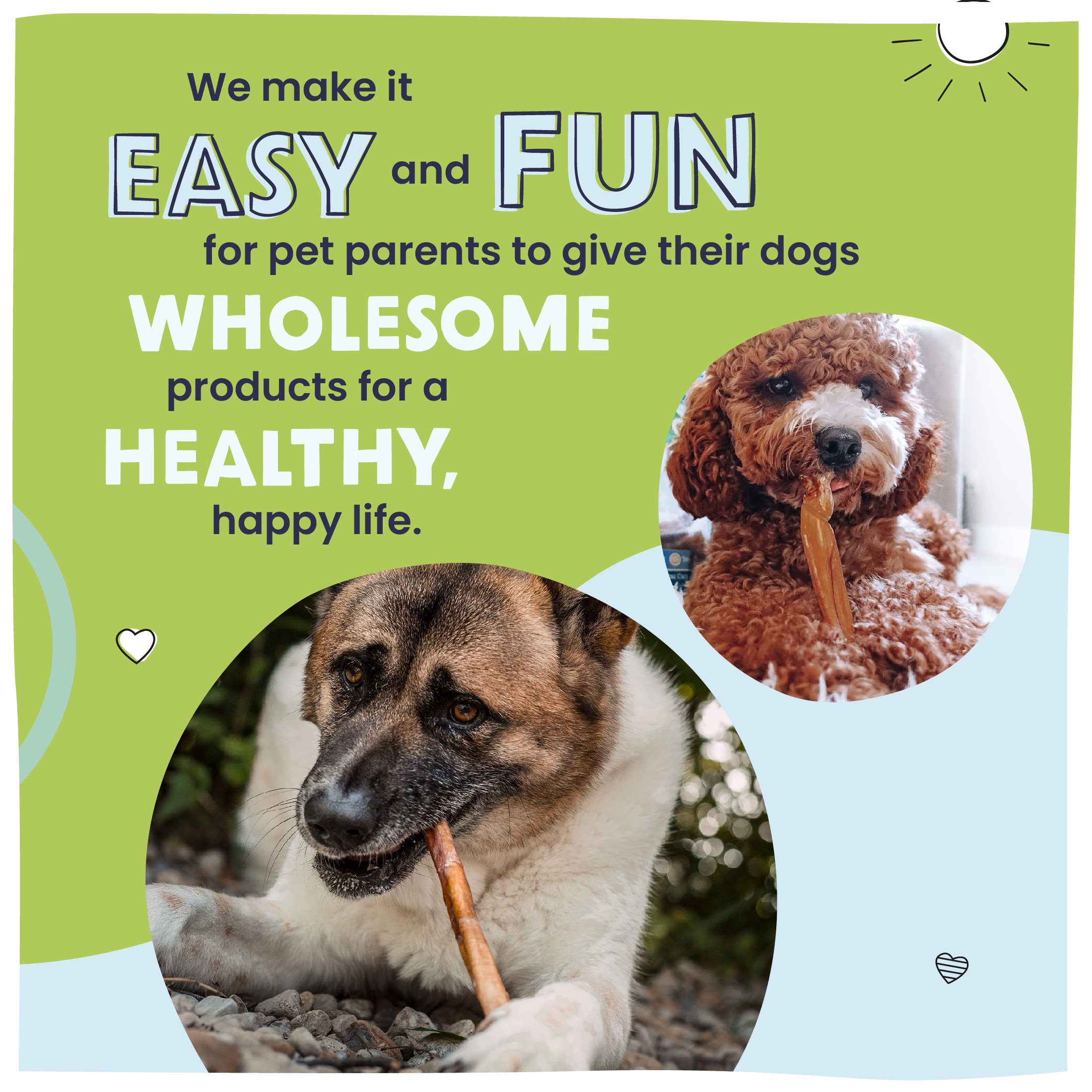 Pawstruck Natural Bully Sticks Dog Chew, 7 inch (3 Pack) photo 5