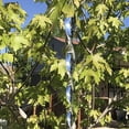 thumbnail image 2 of Viento Giratoria Reflectante para Zonas Rurales (plateado) 10 Uds., 2 of 4