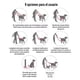 thumbnail image 3 of Correa Manos Libres De Nylon Para Perro 180cmx19mm Jaru, 3 of 3