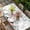 White, variant on Gnomes Easter Table Cloths for 5 Foot Rectangle Tables, Colorful Spring Floral Weeping Eggs Rustic Patio Waterproof Elastic Fitted Tablecloths, Washable Rectangular Table Cover for Camping