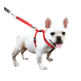 thumbnail image 2 of Sporn Ultimate Control Dog Harness, Red, Small (14-24" Girth Size), 2 of 7