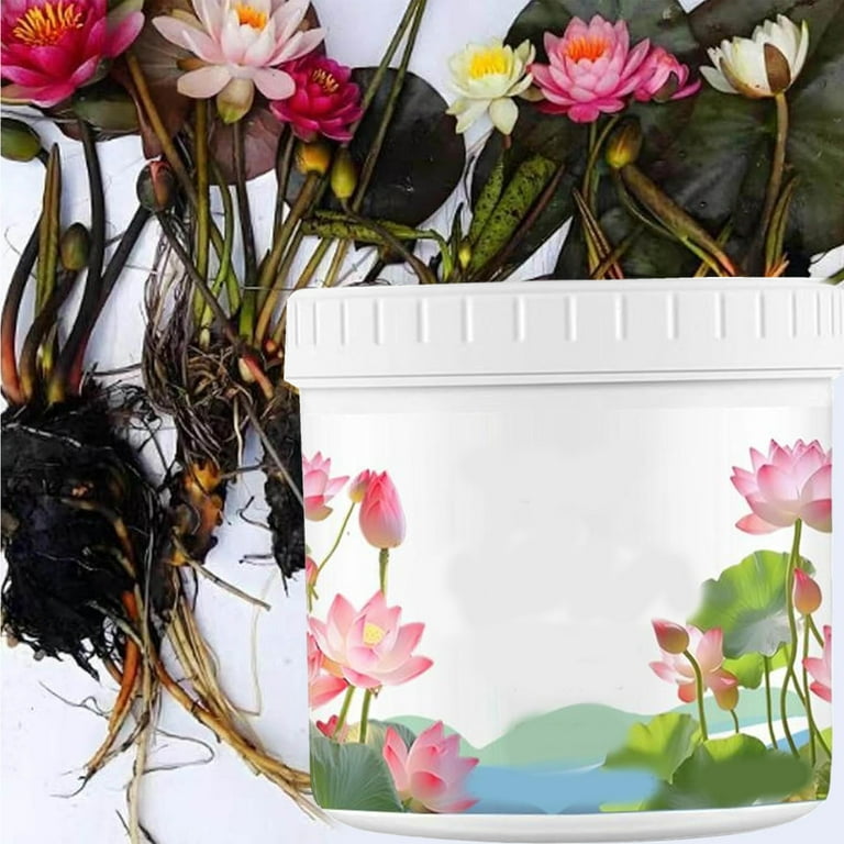 Aquatic Plant Fertilizer,Lotus Fertilizer,Fertiliser Wasserlily,Water Plant  Fertilizer,Lotus Growth Powder,Water Lilys Fertilizer,Pond Plants  Nutrient(2pcs 200g/7.05oz)Clearance from ANMUYUM - Walmart.com