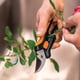 thumbnail image 3 of Tijeras Para Podar Fiskars 18.2X5.3X2 Cm, 3 of 3