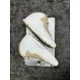 thumbnail image 2 of Ni-k-e 2005 Jordan 10 Linen, 2 of 6