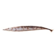 thumbnail image 1 of CNKOO Poupée en Peluche Poisson Saury Grande Fidélité Poisson Réaliste Couleur Vive Long et Mince Compagnon Oreiller Simulation Poisson Confort Poupée Jouets pour Bébé, 1 of 10
