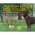 thumbnail image 6 of Country Brook Petz® Premium Nylon Dog Collar with Metal Buckle for Small Medium Large Breeds (Small, 3/4 Inch, Hot Orange), 6 of 7