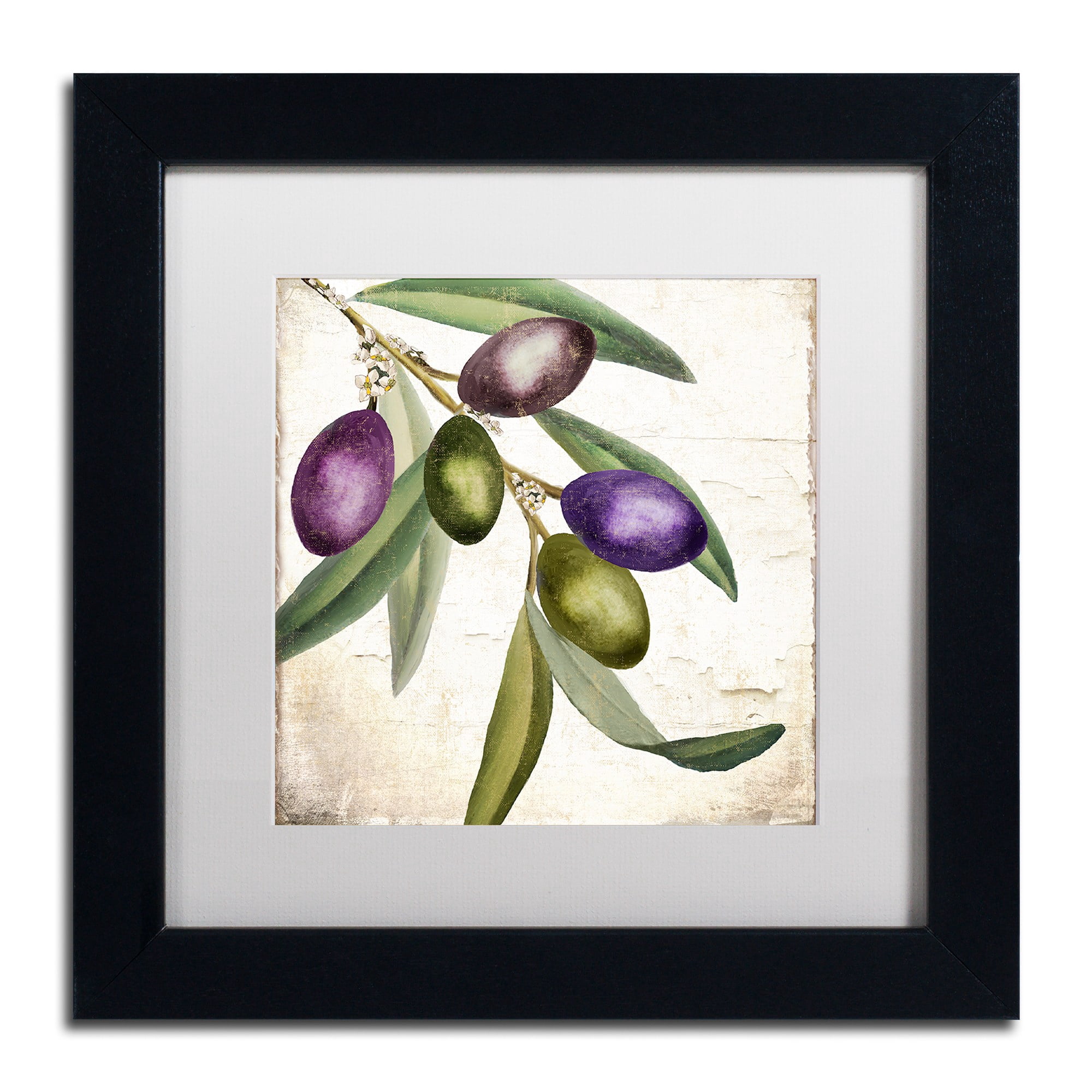 Trademark Fine Art "Olive Branch I" Canvas Art by Color Bakery, White Matte, Black Frame