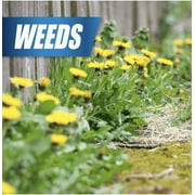 Pulverize Weed & Grass Killer Herbicide, 32 fl. oz. Ready-to-Use