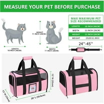 20" Large Soft Sided Cat Carrier for Cats Under 25 lbs, Foldable Dog Carrier for 2 Small Cats - Pink