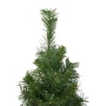 thumbnail image 3 of 3' Black River Pine Artificial Medium Profile Christmas Tree Unlit, 3 of 5