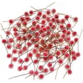 thumbnail image 1 of HAIKING Baies de Houx Rouges Artificielles, 100 Pcs Houx de Noël Givré Baies Décoratives pour Arbre de Noël, Artisanat, Guirlande de Noël, Mariage, Décoration Intérieure (Rouge), 1 of 7