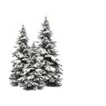 thumbnail image 2 of Pine Trees White Wall Decal by Wallmonkeys Peel and Stick Graphic (36 in W x 33 in H) WM37472, 2 of 4