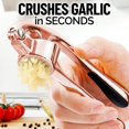 thumbnail image 2 of Prensa de ajos Zulay Kitchen con mango ergonómico suave y fácil de apretar - Herramienta para picar ajos con diseño resistente que extrae más pasta de ajo - Trituradora de ajos y prensa de jengibre fá, 2 of 5