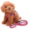 thumbnail image 2 of Brillante conjunto de arnés de perro Puppy Leash Training Collar Traction Rope Red Sunnimix Set de arnés de perro, 2 of 8