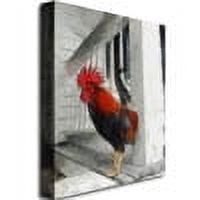 Trademark Fine Art "Key West Rooster" Canvas Art by Michelle Calkins