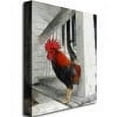 thumbnail image 2 of Trademark Fine Art "Key West Rooster" Canvas Art by Michelle Calkins, 2 of 3