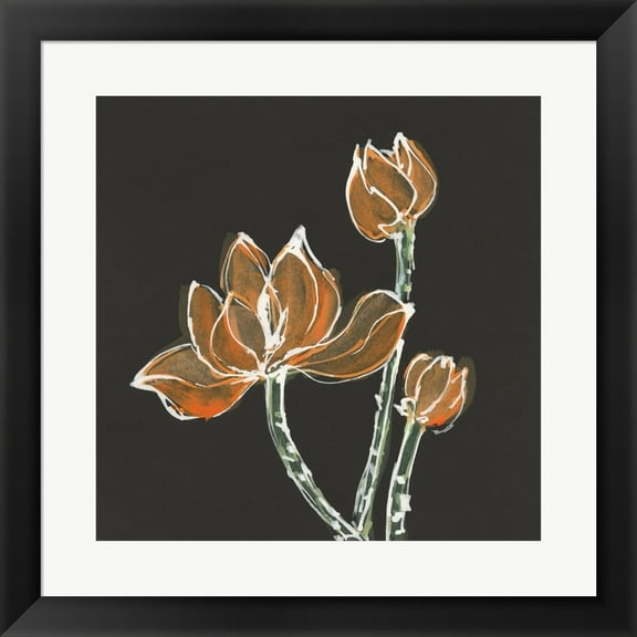 Lotus on Black IV by Chris Paschke, Framed Wall Art, 19.5W x 19.5H