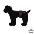 thumbnail image 2 of Barkertime Chocolate Brown Washable Dog Diaper - Made in USA, 2 of 6