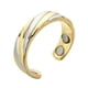 thumbnail image 1 of Fiudx Liquidación De Joyas Drenaje The-Rapy Lymphdetox Magnetoterapia Para Hombres Y Mujeres, 1 of 2