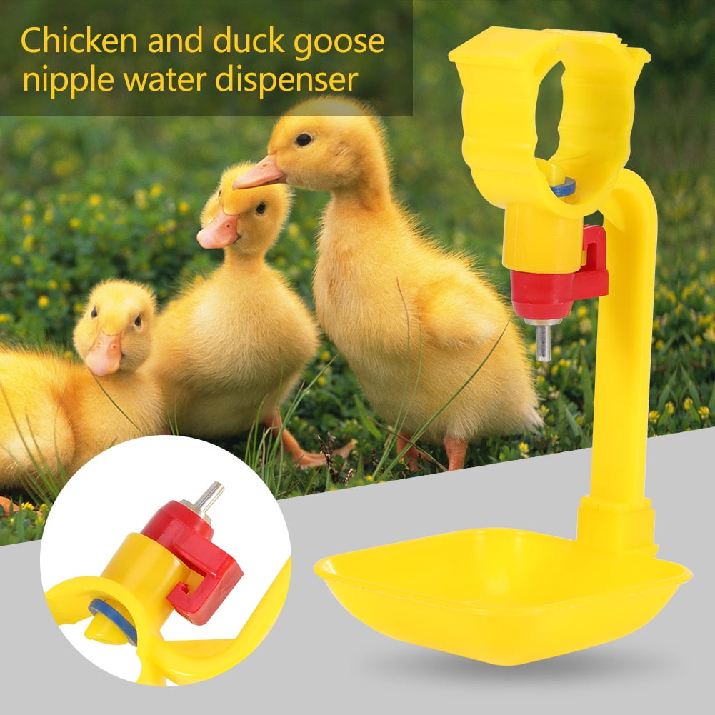automatic goose feeder