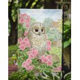 thumbnail image 3 of Carolines Treasures ASA2109GF Tawny Owlet Flag Garden Size, 3 of 3