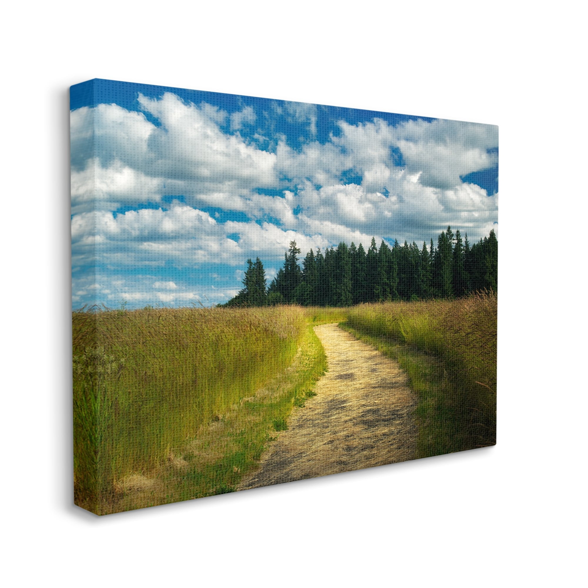 Stupell Industries Cloudy Rural Path Grassland Landscape Photography Gallery Wrapped Canvas Print Wall Art