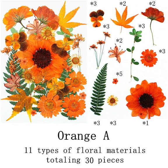 Dalrosia Fall Dried Pressed Flowers Orange Pressed Fall Leaves for Crafts Resin Molds Real Red Brown Yellow Pressed Leaves for Scrapbooking, Epoxy Resin Supplies