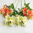thumbnail image 4 of 3D Printed Lily Arrangement - Ideal for Photography and Events, 4 of 5