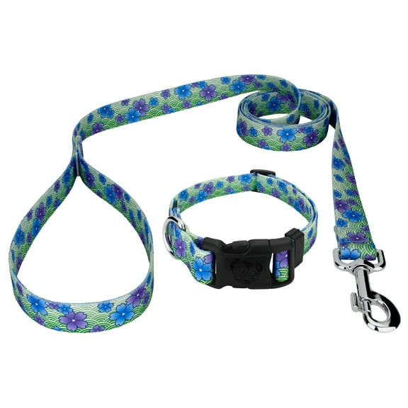Country Brook Petz® Blue April Blossoms Deluxe Dog Collar and Leash, Mini