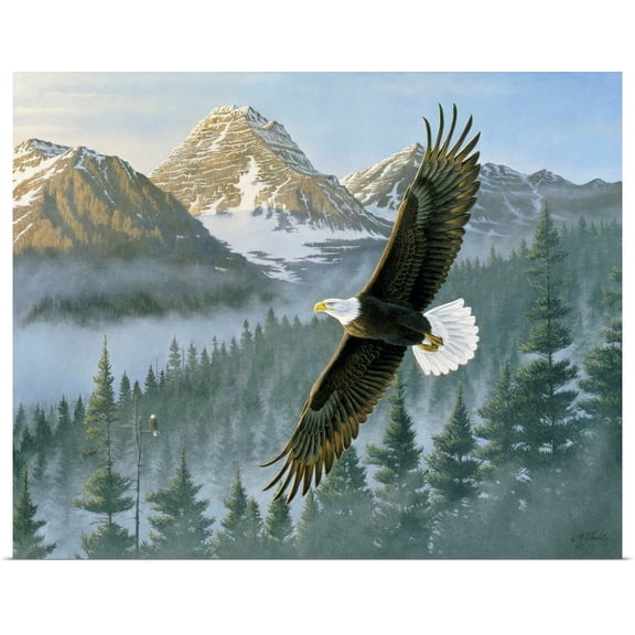 Great BIG Canvas | Rolled Wilhelm Goebel Poster Print entitled Soaring Eagle