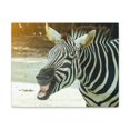 thumbnail image 1 of Funny Zebra Silly Zebra Scene Outside Wall Art Ready to Hang Unframed, 1 of 7