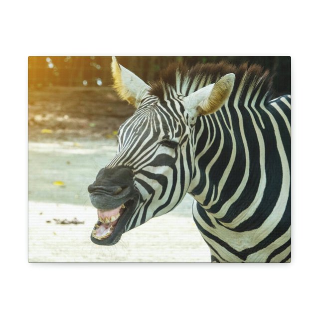Funny Zebra Silly Zebra Scene Outside Wall Art Ready to Hang Unframed