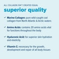thumbnail image 2 of Just Bjorn Marine Collagen Peptides Powder On-The-Go Stick Packs - Collagen Powder for Women & Men - Skin, Hair, Nail & Joint Support - Hyaluronic Acid, Vitamin C, Amino Acids - Unflavored (10 Pack), 2 of 8