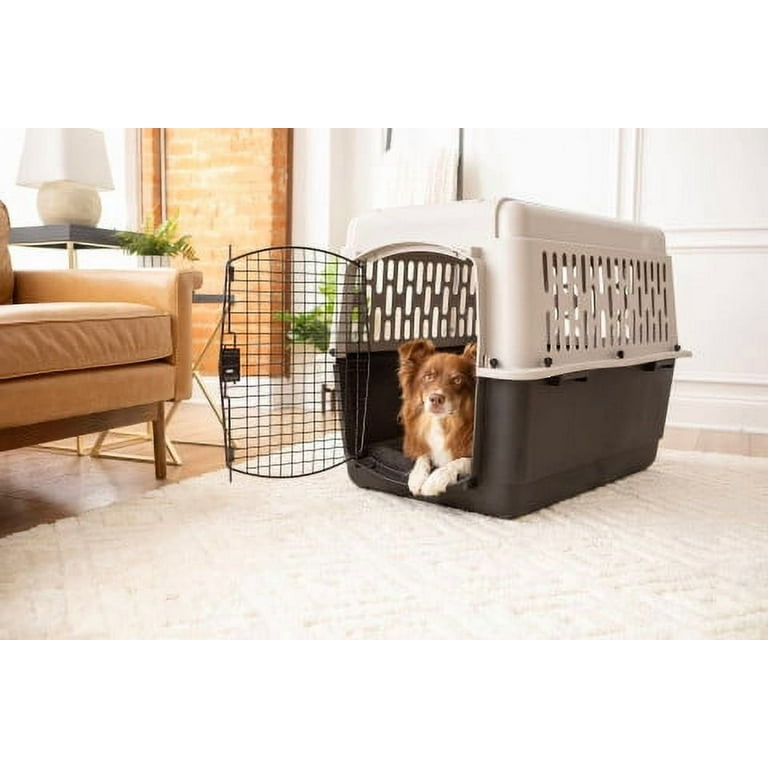 Vibrant Life Pet Portable Kennel for Dogs, Hard-Sided Travel