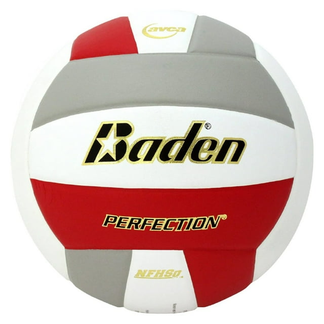 Baden PERFECTION Indoor Leather Volleyball - Official NFHS Approved Game Ball