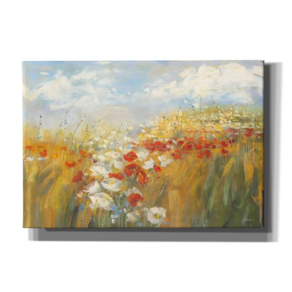 Epic Graffiti 'Poppies And Larkspur' by Carol Rowan, Giclee Canvas Wall Art, 26"x18"