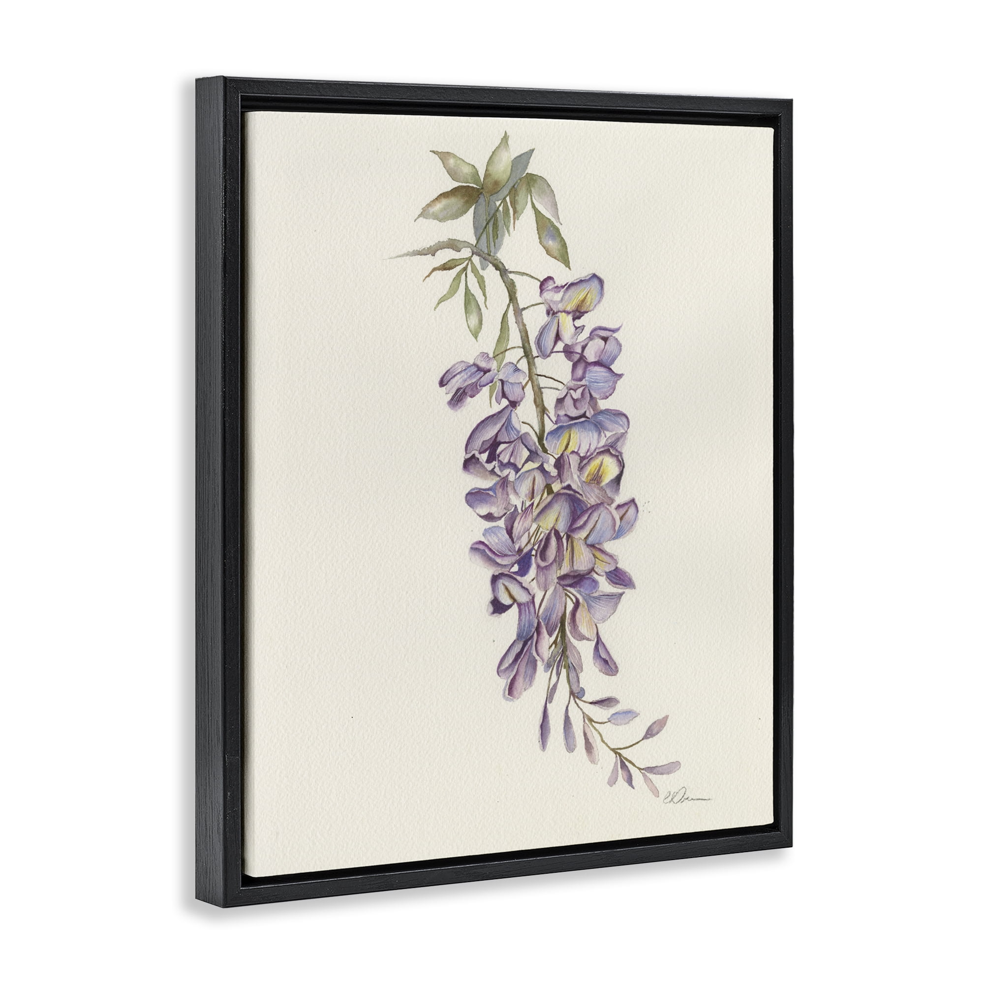 Stupell Industries Delicate Hyacinths Study Black Framed Floater Canvas Wall Art, design by Cady Driver