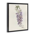 thumbnail image 2 of Stupell Industries French Country Delicate Hyacinths Study Black Floating Frame Canvas Art, 25 x 31, by Cady Driver, 2 of 8