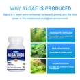 thumbnail image 5 of ZZwxWA My Order Aquarium Algaecide Control Detergent Purification Water 50ml, 5 of 5