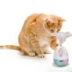 thumbnail image 2 of Juguete para Gatos Juguete para Mascotas Juguete para Gatos Juguete Interactivo de Plumas Juguete para Mascotas Juguete Interactivo para Mascotas, 2 of 6