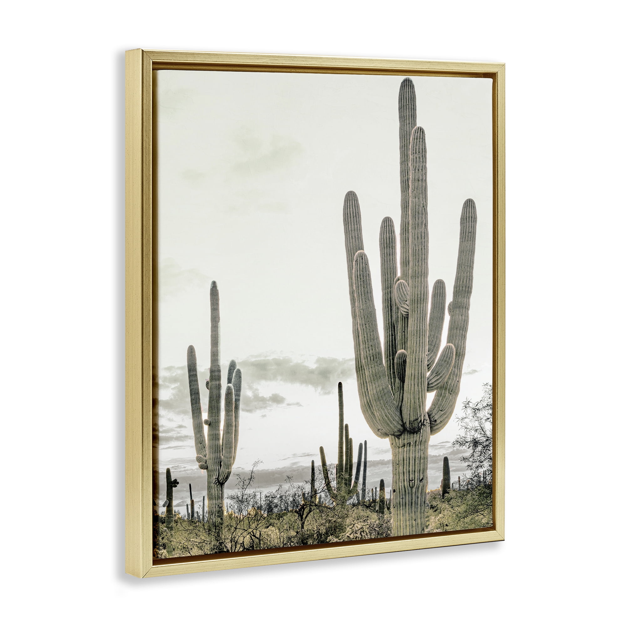 Stupell Industries Subdued Desert Cacti Gold Framed Floater Canvas Wall Art, design by Kim Allen
