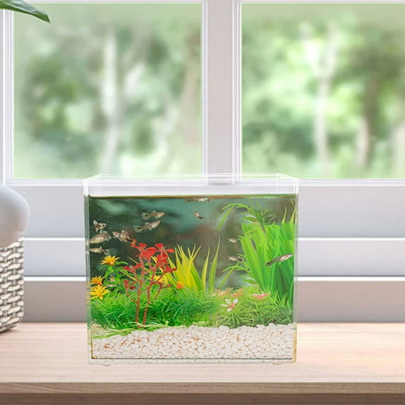 LOLIPPYY 2Pcs Transparent Plastic Betta Fish Tank with Open Top for Home Office Desktop Aquarium