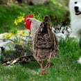 Poultry Decoration Courtyard Card Size Hen Card Decoration Courtyard poultry-decoration-courtyard-card-size-hen-card-decoration-courtyard