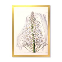 Designart 'White Vintage Orchid I' Traditional Framed Art Print