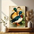thumbnail image 6 of Ducks in Pond Canvas Print, Antique Bird Artwork, Vintage Farmhouse Style Wall Decor, 6 of 8