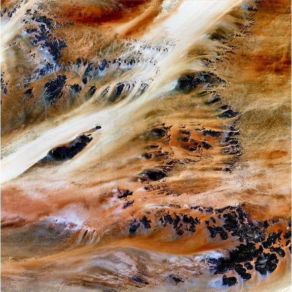 Buell Terkezi Oasis Wall Decal