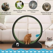 Cat Exerciser Wheel, 31.5 Inch Cat Toy Running Wheel Treadmill with Detachable Carpet for Indoor Cats, Plastic Wheel
